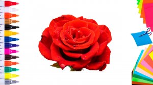 Как сделать цветы из бумажных салфеток своими руками