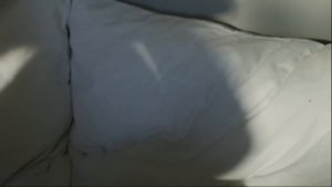 "Не повторяйте моих ошибок!" Последние записи из дневника