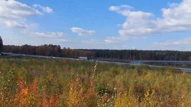 Дороги Свердловской области: осень 2023 #екатеринбург #свердловскаяобласть #урал #россия #дороги