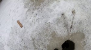 РЫБАЛКА ХАПУГАМИ ЗАГОНОМ .ХАПУГИ ОПЯТЬ НЕ ПОДВЕЛИ... ЛОВИМ ЩУКУ ХАПУГОЙ...