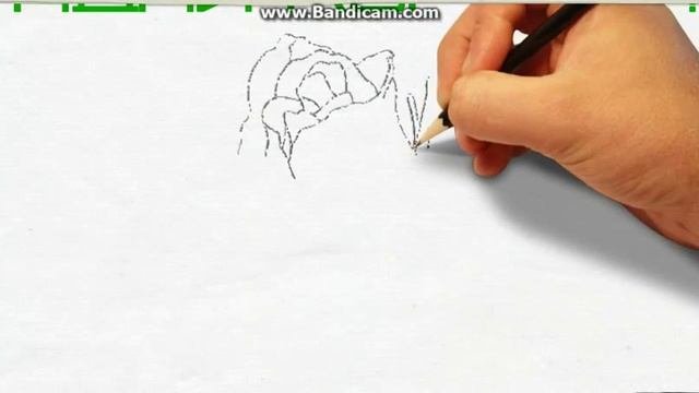 Прикольный подарок для девушки 