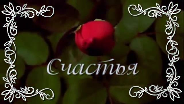 Розы от меня в День Рождения! С Днем Рождения! смотреть онлайн