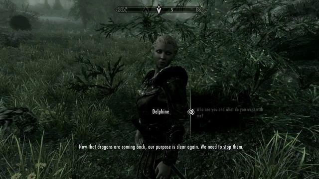 100. Let's Play Skyrim (The Elder Scrolls V Orc Gameplay) - Super Awesome Celebration Woo смотреть онлайн