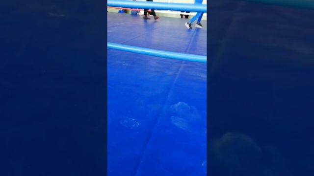 город Буй. Декабрь. смотреть онлайн