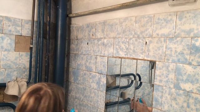 Лучший способ борьбы с тараканами смотреть онлайн