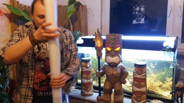 Neue Neugestaltung meines Aquarium Umfelds im Tiki-Stil mit imposanter Efeuwand & Monstera Bild смотреть онлайн