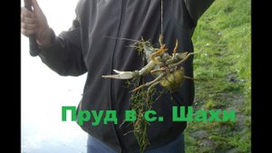 Пруд в с.Шахи (Павловский район Алтайского края)