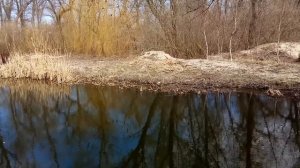 Уход за озером. Убираем камыш/рогоз