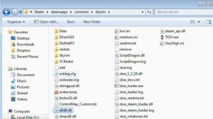 Skyrim FPS Limiter Review + Tips