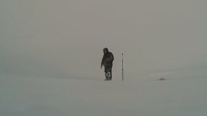Ловля окуня на балансир на Волге