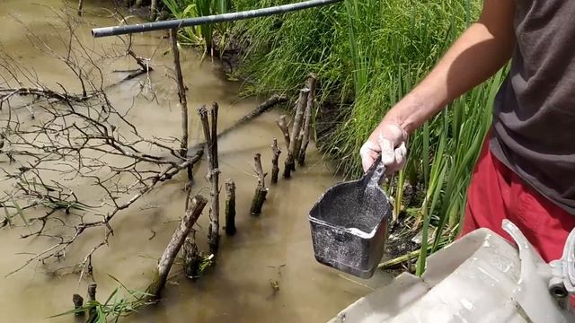 Провів вапнування ставка. Лину це не сподобалося. Ставок своїми руками. смотреть онлайн
