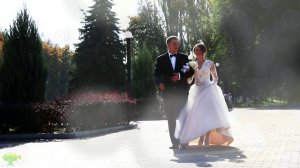 Свадебный клип Дмитрий & Дарья