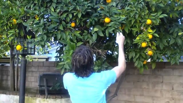 day 6 sunset blvd смотреть онлайн