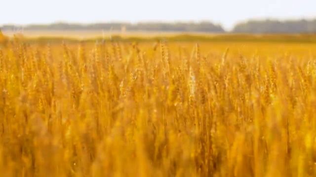 я видел небо голубое смотреть онлайн