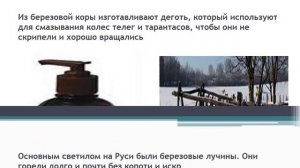 презентация к НОД  Берёза  символ России