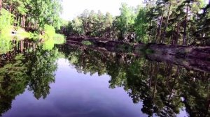 Челябинский парк живая природа южного Урала. 20.07.2022гhttps://rutube.ru/video/25d32e252bae280bb15a