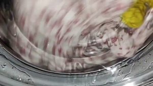 Candy rapido ro41276dwmc/ хлопок 60 800 доп. полоскание