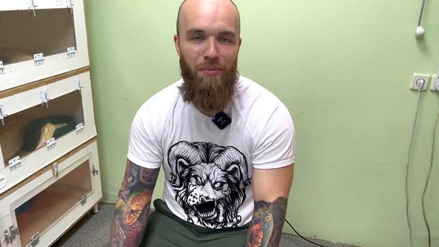 РОЖДЕНИЕ САМЫХ ДОРОГИХ ЗМЕЙ/ВСКРЫВАЮ ЯЙЦА ПИТОНА смотреть онлайн