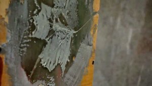 Венецианка с листиком1