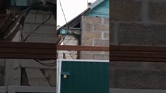 Арболит Блок спустя 5 лет , Арболит Блок , Арболитовые Блоки
