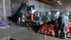 Упаковочная машина МС24 для Овощей (Сетка рукав с лентой)