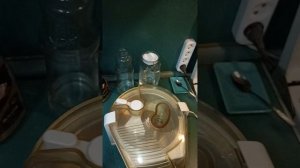 Соковыжималка Аксион сц 11.01 250 вт