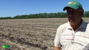 Всходы после очесывающей жатки. Правила ноу-тилл (no-till, прямой посев).