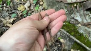 Коп в Крыму 2023 / Средневековое укрепление / наконечники, топор, кресало