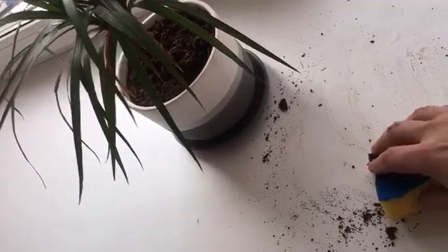 Мягкое стекло - подоконники смотреть онлайн