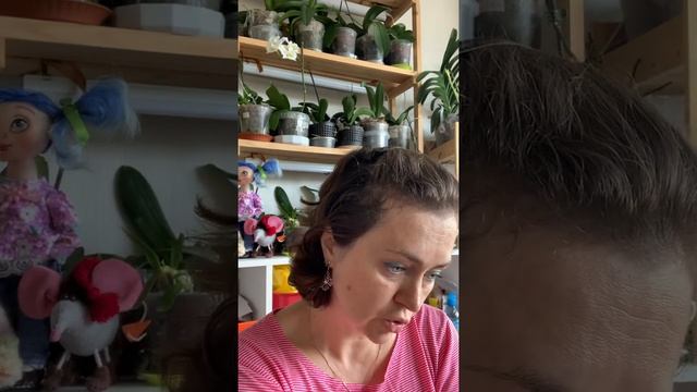 Можно ли выращивать орхидеи без использования специальных препаратов для цветов?