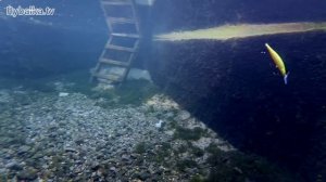 Воблер Ima Farina под водой. Ima Farina Underwater