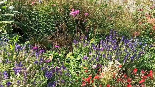 Екатеринбург. Продолжаем осмотр достопримечательностей. Цветы августа. смотреть онлайн