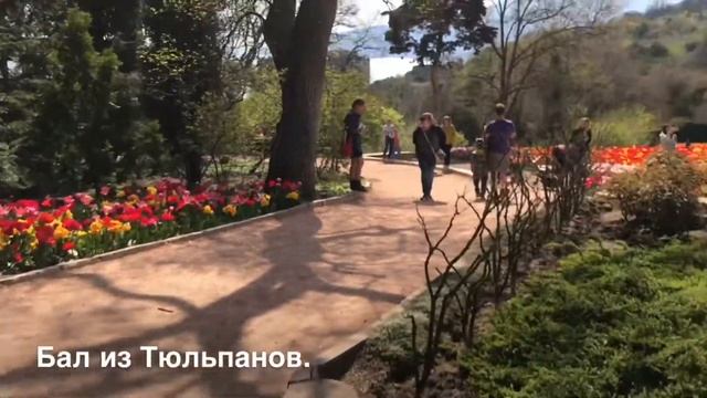 Едем в Никитский ботанический сад: парковка,цены,фестивали