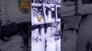 проверка пневматического пистолета