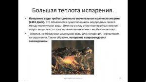 Биологическая роль воды в мире