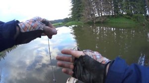 Ловля карася спиннингом. Карась на мормышинг целенаправленно (наноджиг).