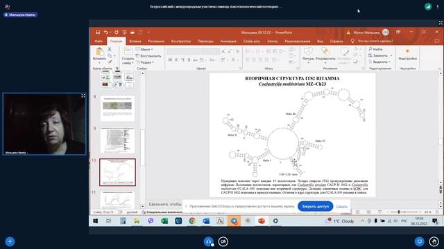 Биотехнологический потенциал нового штамма Coelastrella multistriata (Scenedesmaceae, Spaeropleales)