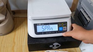 CAS SWII Series Calibration