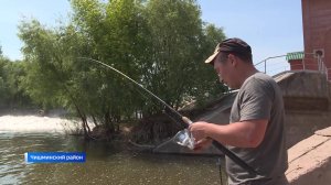 Из-за периода нереста в Башкирии ограничили рыбалку: до 5 июня в республике пройдут облавы браконьер