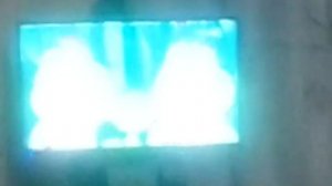 Лунтик срунтик