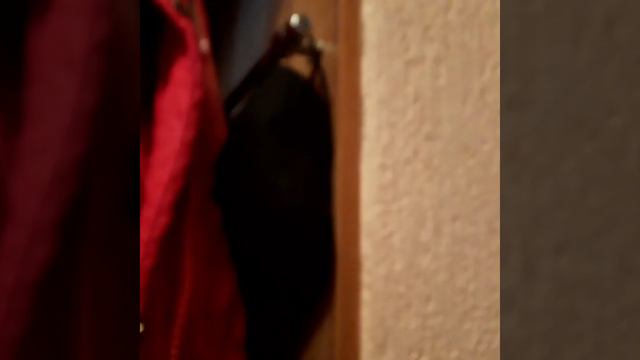 Короче Говоря: 14 февраля😍 / Что произошло в день Святого Валентина? смотреть онлайн