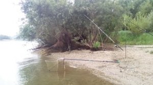 Рыбалка на Оби. Отличный клёв!!! Feeder fishing