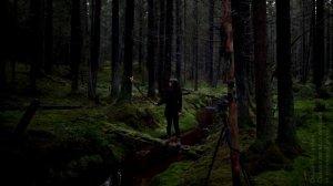 Ольга Потапова. Съёмка лесного пейзажа