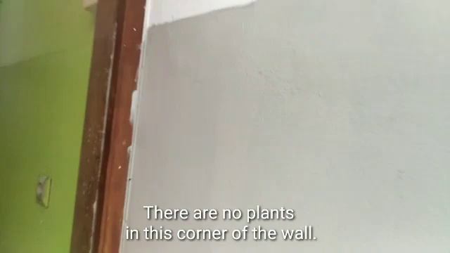 Home Environment Observations - Science for Kids - Grade 2 смотреть онлайн