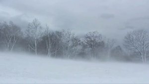 "ОТЧИЗНА" - романс души: Александр Вертинский (слова), Анатолий Пережогин (музыка, исполнение)