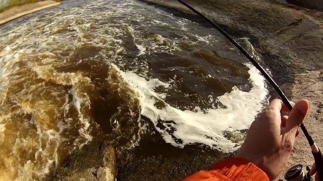Ловлю плотву мормоспиннингом под плотиной в Арамили во время её нерестового хода весной