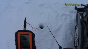 Рыбалка на судака на обском водохранилище. Очередной выезд за клыкастым разбойником