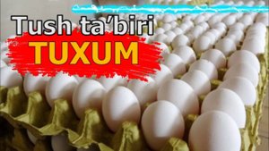 Тухум Тушда  Курса - Tushda Tuxum Kursa - tushida tuxumni ko'rishni anglatadi Tush Tuxum
