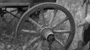 Кумыкская равнина. Къумукъ тюз. Qumuq tyz