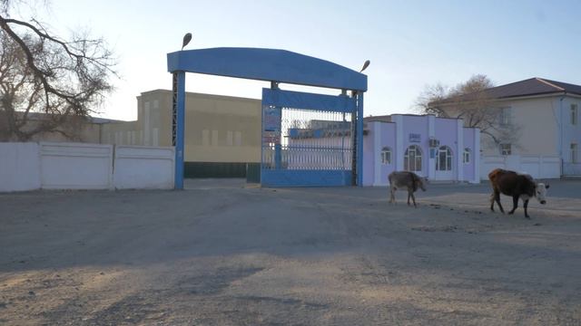 "KURT" - Brine Shrimp & the Aral Sea [FILM]